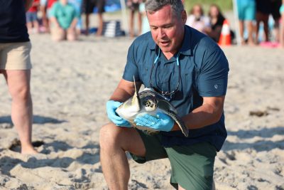 Jeff Corwin at sea turtle release