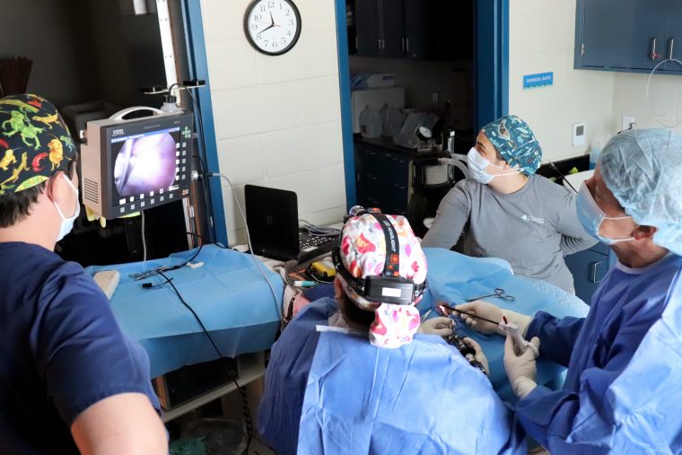 four medical staff watching a monitor