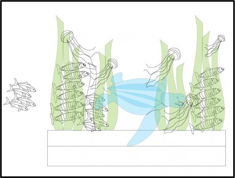 drawing of a leatherback ice sculpture