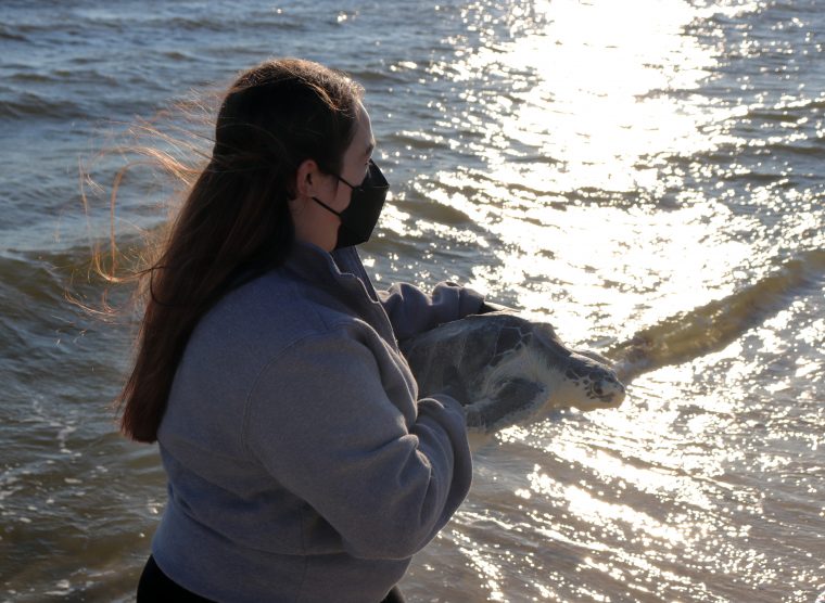 woman holding a sea turtle on a beach near the water