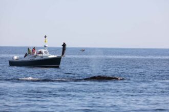 A Salute to Our Mighty Research Vessel: Nereid