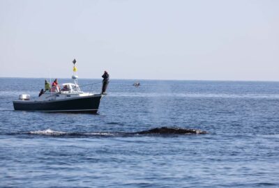 A Salute to Our Mighty Research Vessel: Nereid