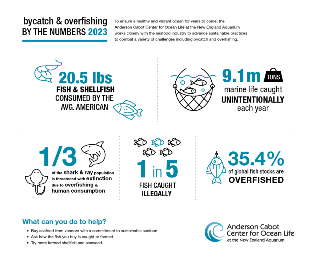 A chart showing statistic on bycatch