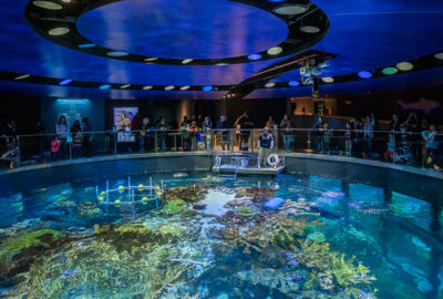 Top of the Giant Ocean Tank