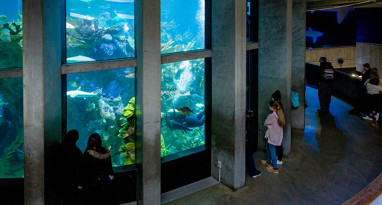 exhibit-giant-ocean-tank-2-1260x678