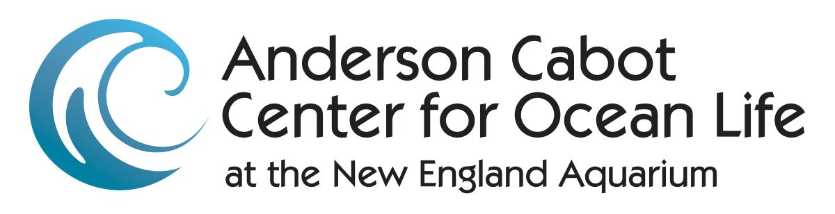 Anderson Cabot Center for Ocean Life at the New England Aquarium