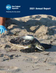 2021 Annual Report Cover