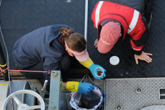 Researchers collect a fecal sample from a whale for a health assessment