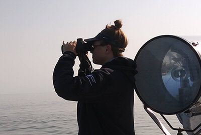 Distance sampling of right whales