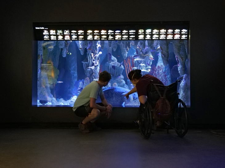 Visitors using wheelchairs and visitors with visual impairments are welcome at the Aquarium free of charge.