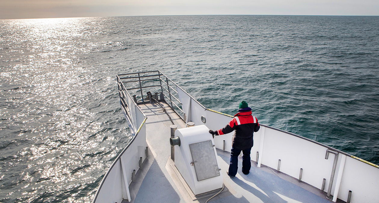 Scientists look for right whales during a research cruise