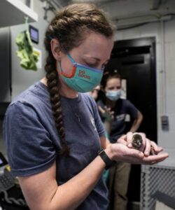 Penguin Aquarist Amanda Barr with the penguin chick