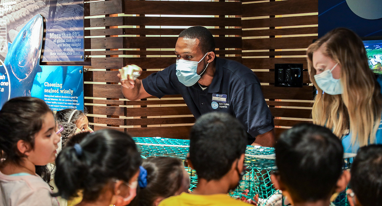 Aquarium Conservation Learning staff hold a demonstration for young guests.