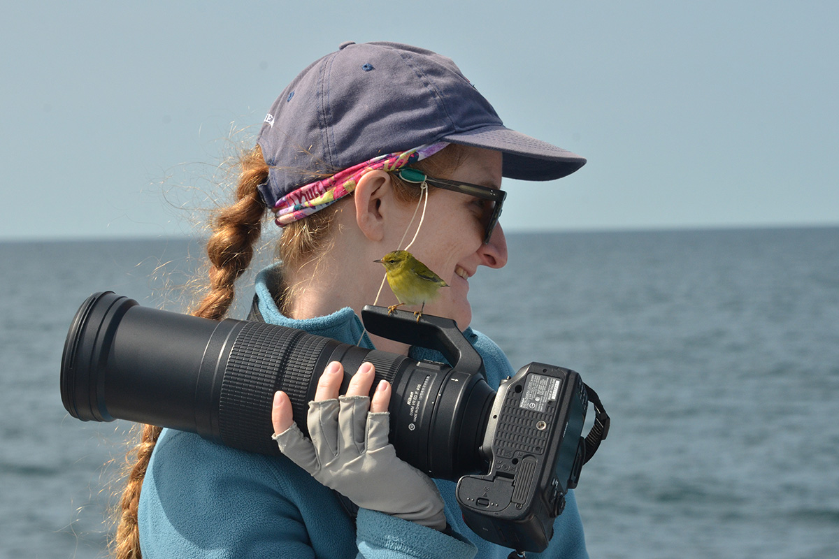 small, green bird sits on a camera held by a woman