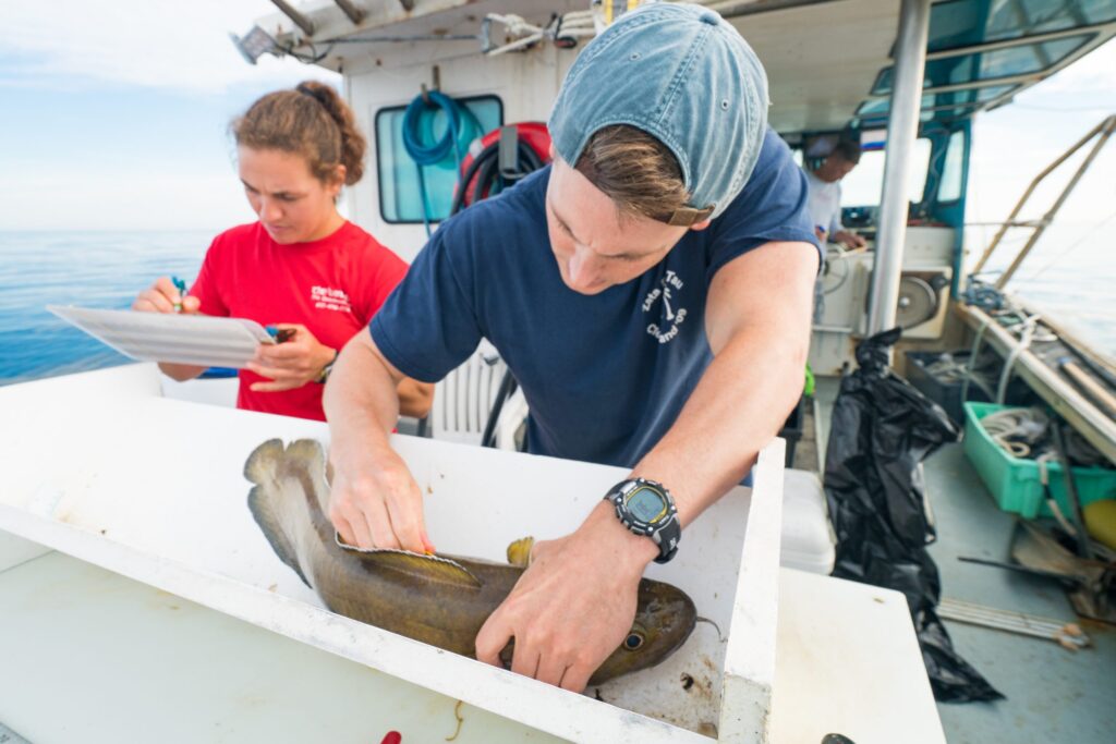 Our scientists provide research to advise on ocean use policies—an essential part of responsible blue economy growth.