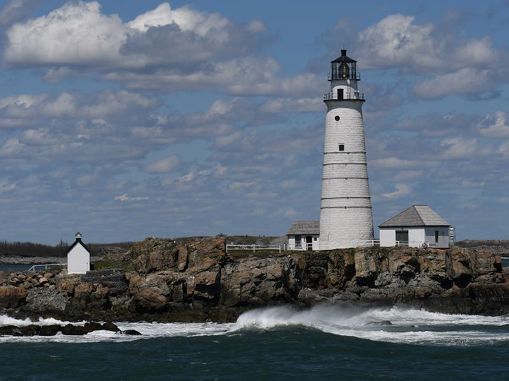 Boston Whale Watching: Notas do Naturalista - 21/06/23 a 27/06/23