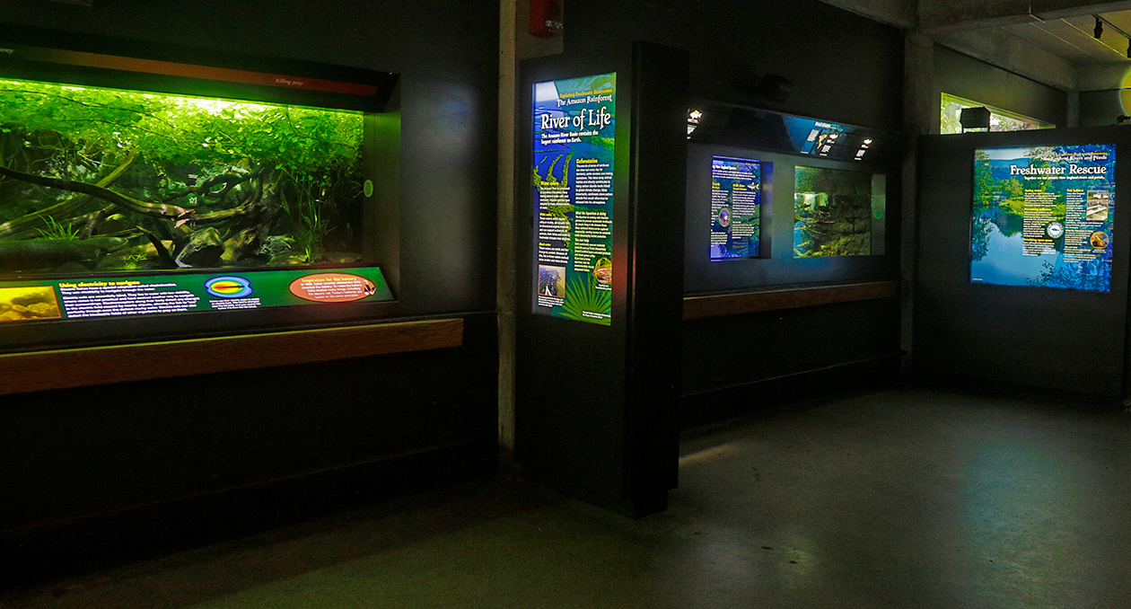 Amazon exhibits are in the Freshwater Gallery