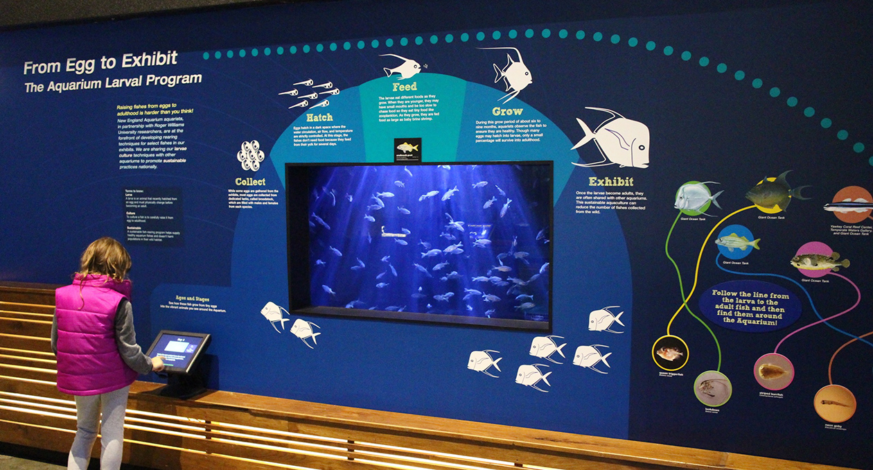 Larval Fishes exhibit