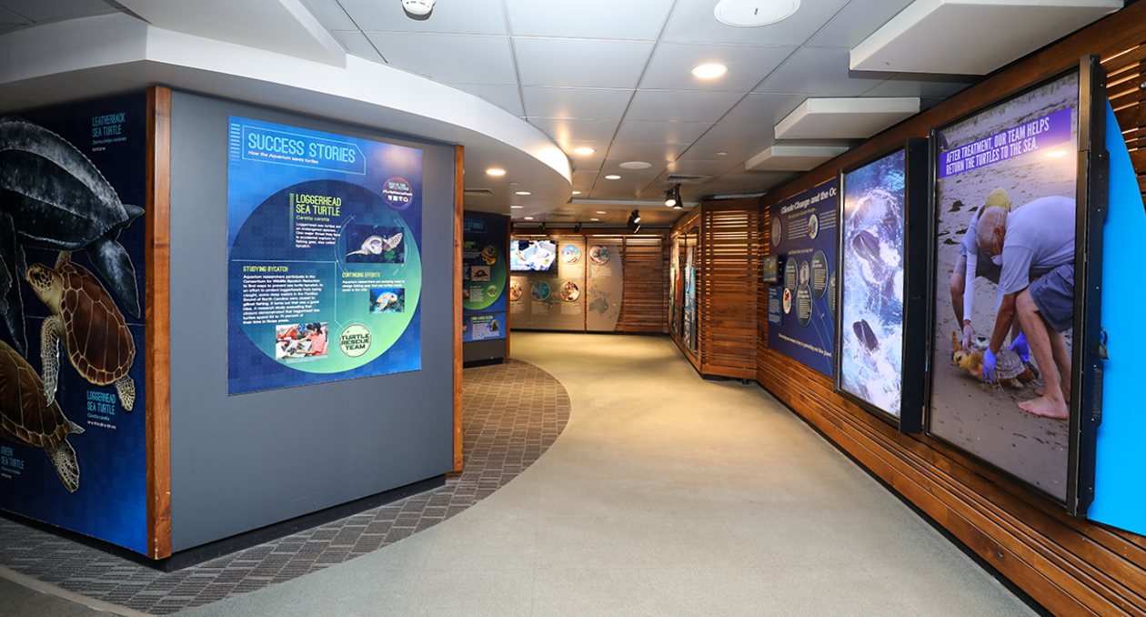 Blue Planet Action Center