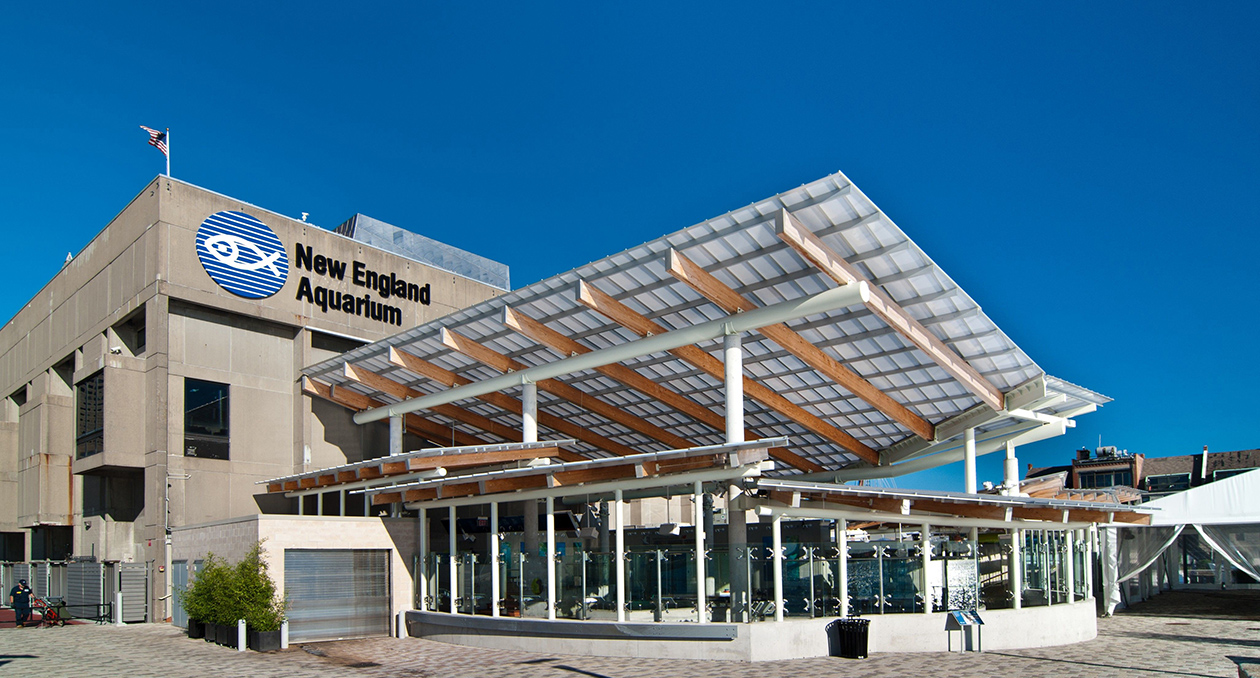 Marine Mammal Center at the New England Aquarium