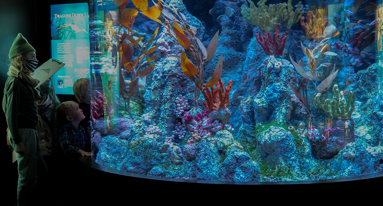 Guests at the Seadragon Exhibit