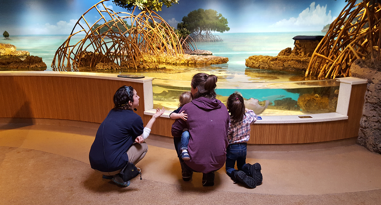 An educator talks to visitors about the Shark and Ray Touch Tank