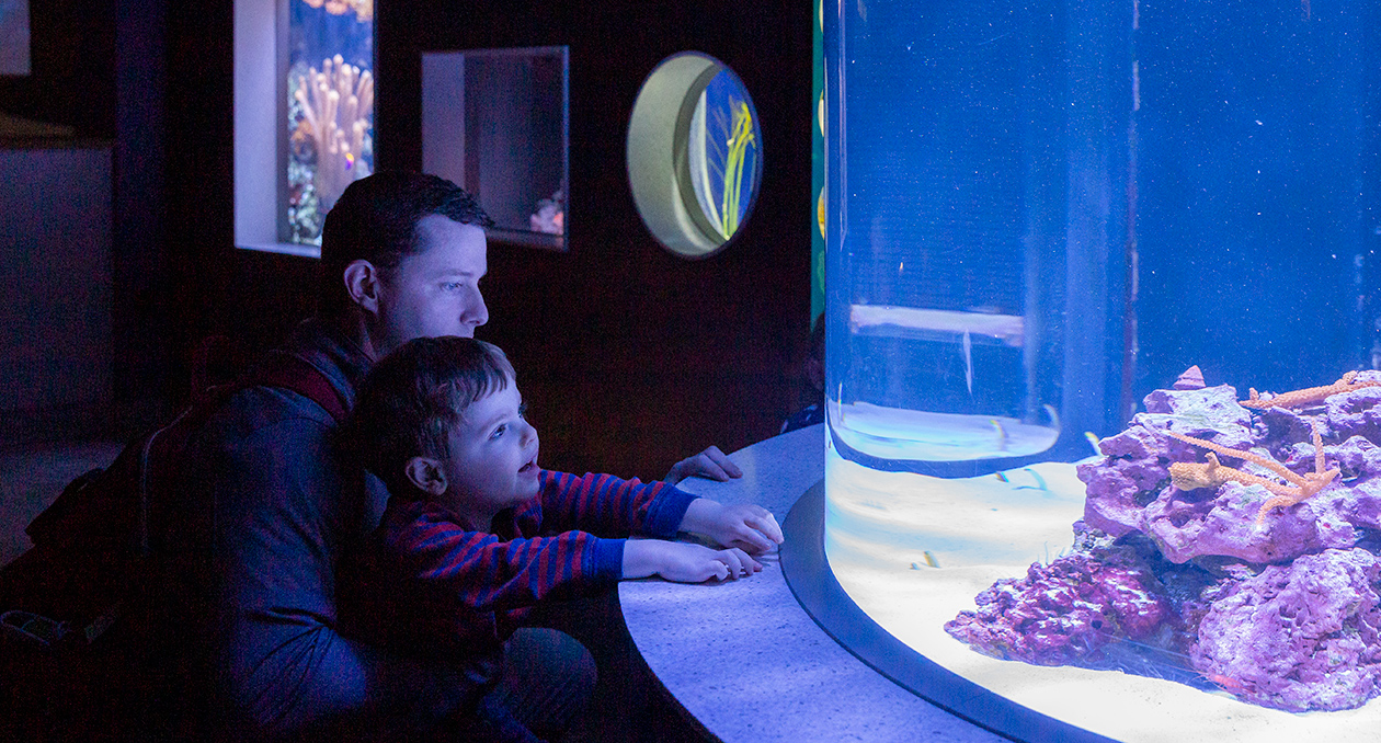 Guests watch gardens eels