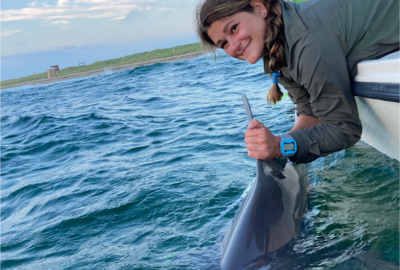 Sandbar Sharks Around Nantucket: I Know What They Did Last Summer