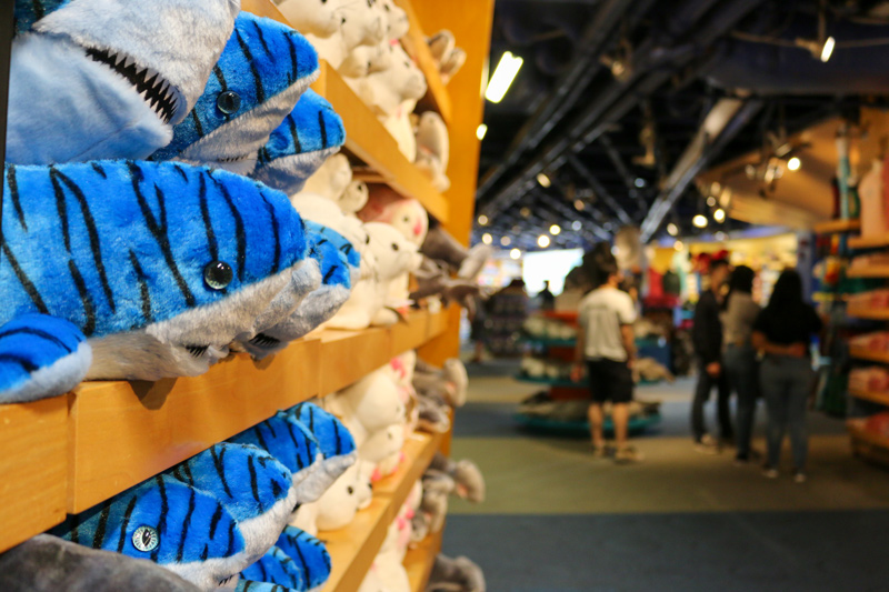 Gift Shop at the New England Aquarium