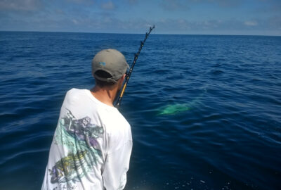 Man casting a fishing rod off a boat towards a shark in the water