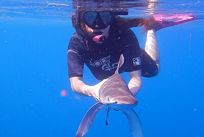 Holding a juvenile oceanic recently caught, trying to revive after it was having trouble breathing.