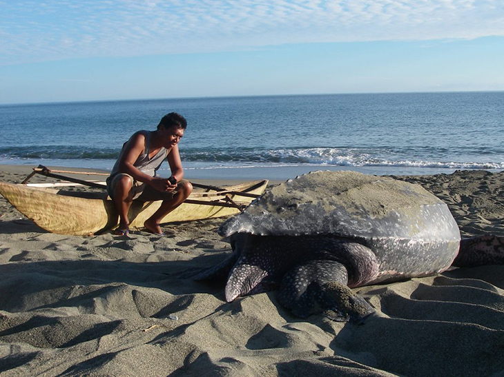 Dr. Ricardo Tapilatu in Indonesia. Photo courtesy of Bird’s Head Leatherback Program.