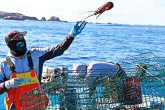 Cada Solución, Cuenta: Knowledge Sharing Between Fishing Communities Can Strengthen Climate Resilience