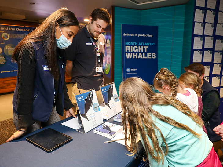 Visitors at the Aquarium sign cards in support of right whale protections.