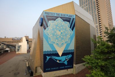 Championing Central Wharf and Quincy