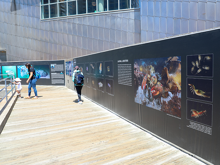 Space to Sea public photography exhibit on Central Wharf