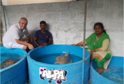 Three people around a blue tank, inside of which is a turtle