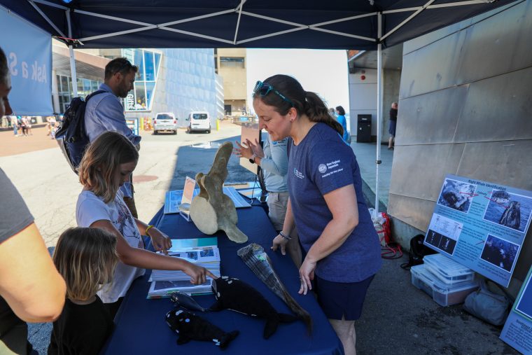 Aquarium staff show photos of right whales to visitors at exhibition booth