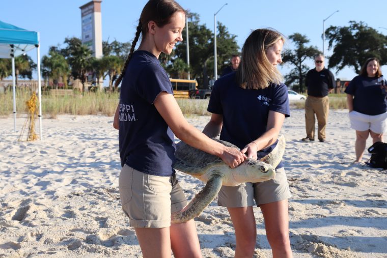 Two women carrying a sea turtle on a beach