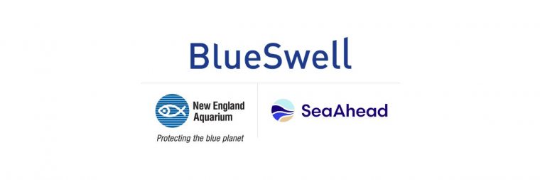 Collage of logos for Blue Swell, Aquarium and SeaAhead