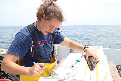 tagging fish on a boat