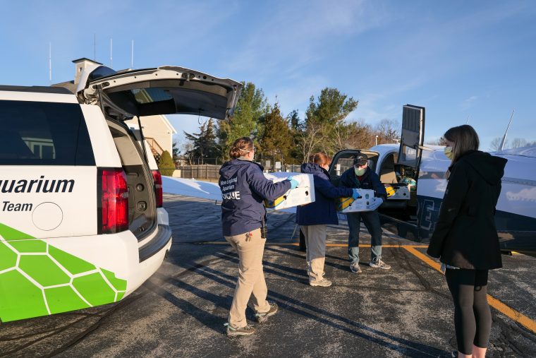 Staff members unloading boxes from a vehicle