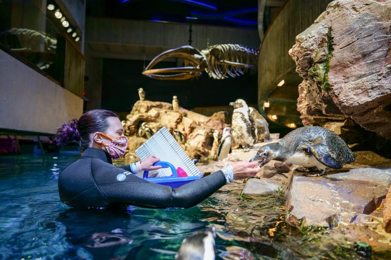 Plan Your Visit - New England Aquarium