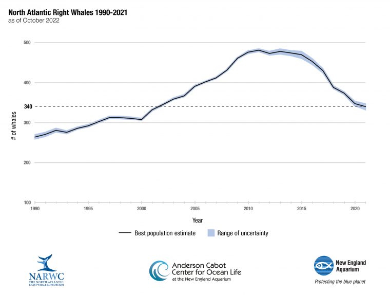 Right whale population chart