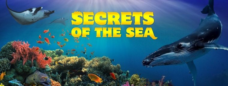 Secrets of the Sea advertisement graphic