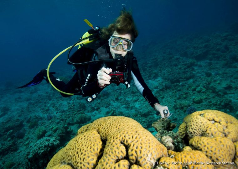 Dr. Syliva Earle scuba diving