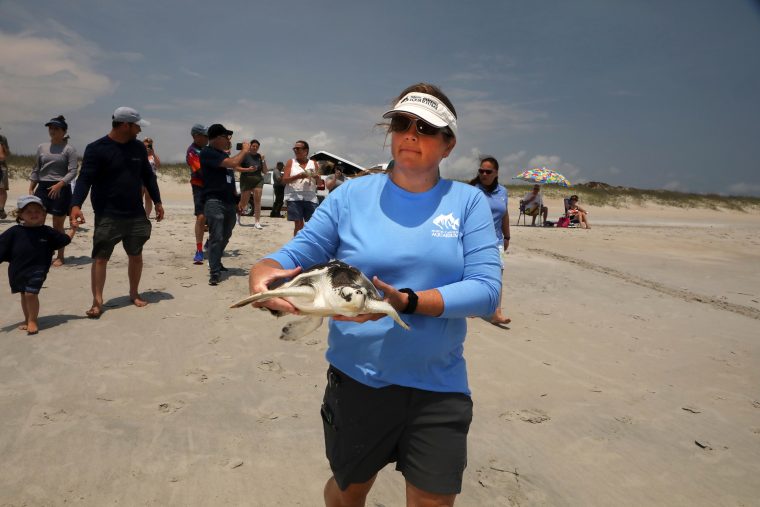 Emily Christiansen holding a turtle on a beach