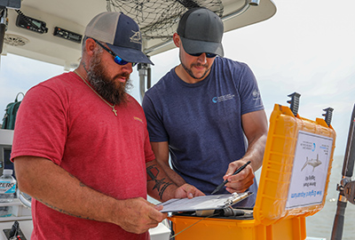 A fisherman and scientist collaborate on shark tagging