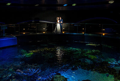 Wedding at The New England Aquarium photographed by McAllister Photography
