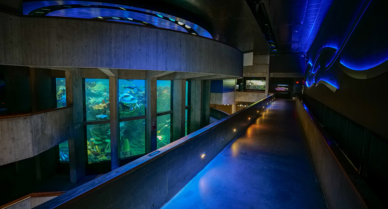 New England Aquarium